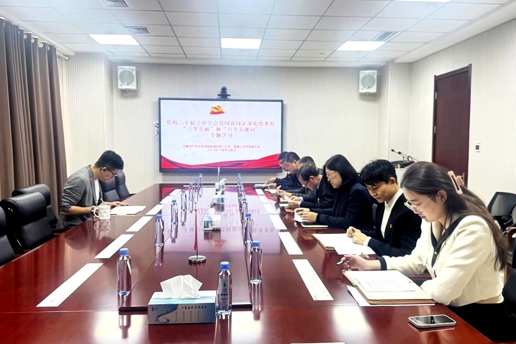 1733131367494478.jpg 龍能公司9.jpg